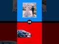 What will you choose  shorts car edit