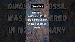 The first dinosaur fossil was discovered in 1824 by Mary Anning. #dinosaurs #dinosaur...