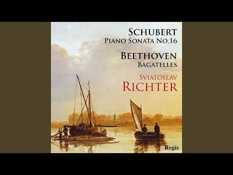 Piano Sonata No. 16 In A Minor, D.845: II. Andante Poco Moto