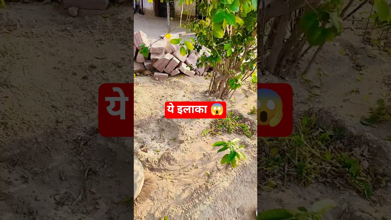 ये इलाका 😱| 