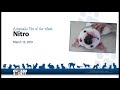 Adoptable Pet of the Week: Nitro