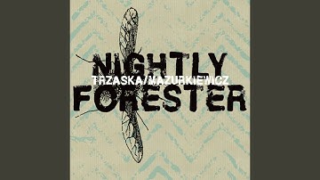 Moths Around A Light