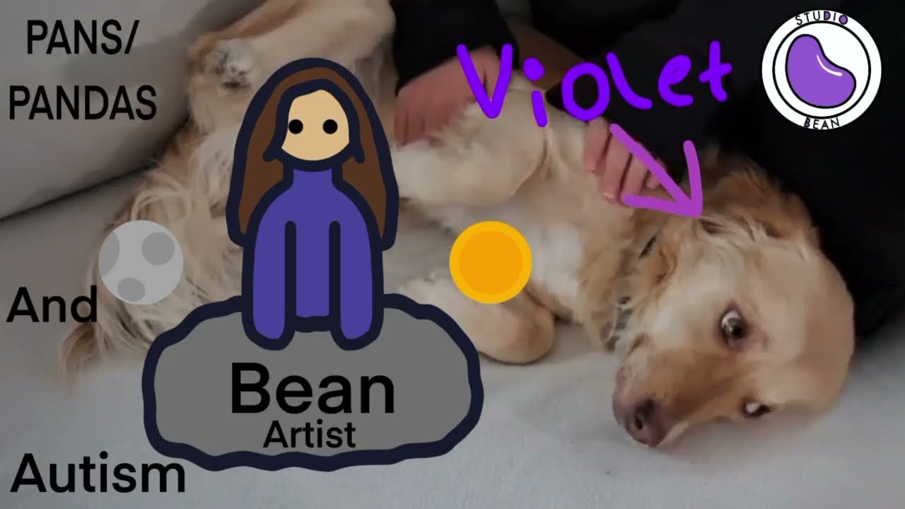 Studio-Bean Intro, PANS/PANDAS and Autism