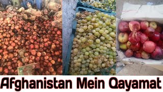 Afghanistan Mein İmport Export And Latest Situation