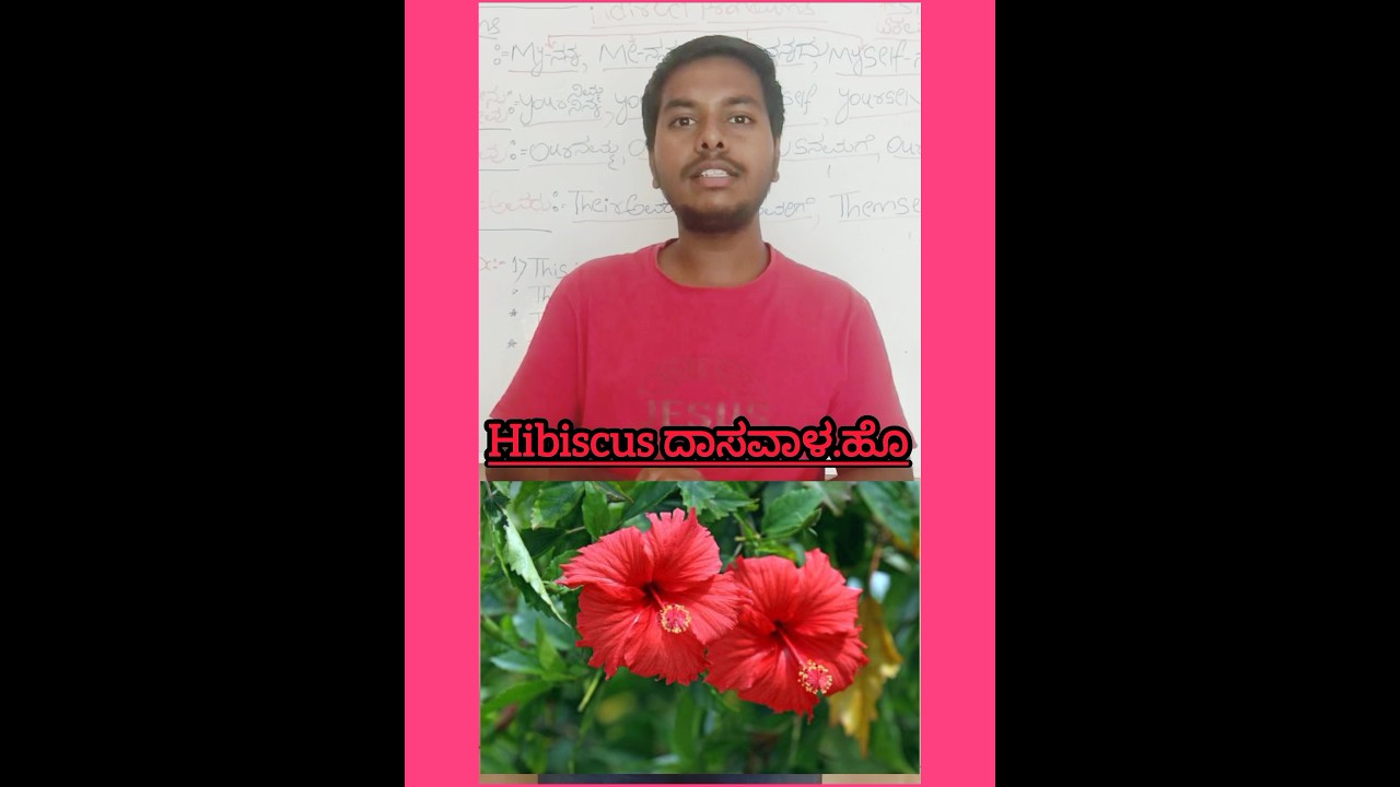 flowers names in english with kannada meaning 