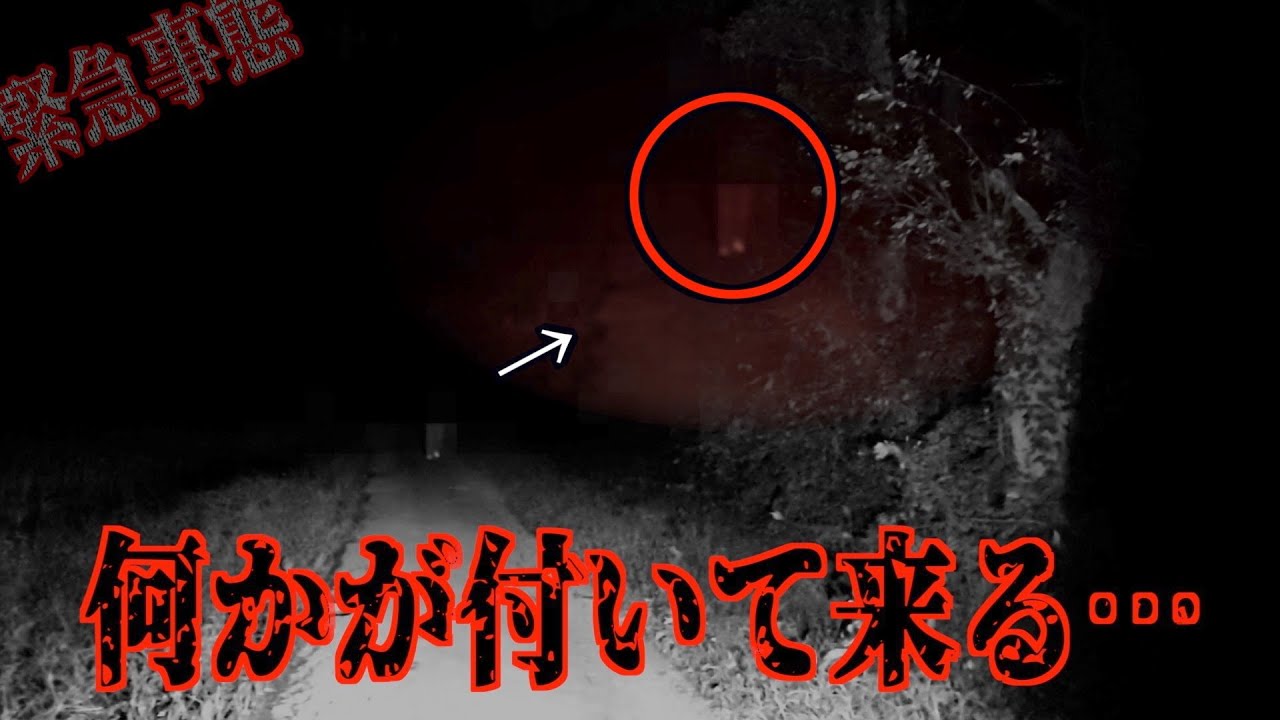 【緊急事態】ヤバい女…