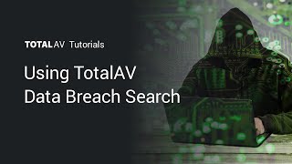 Using TotalAV Data Breach Search screenshot 4