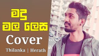 Video thumbnail of "Madu mala lesa mudu | මදු මල ලෙස  | Thilanka Herath"