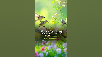 سورة التوبة الآية 💙105💙