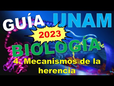 Video: ¿Qué es el mecanismo de la herencia?