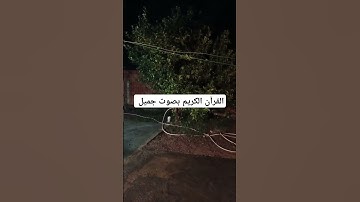 القرآن الكريم بصوت جميل #explore #قرانكريم #قران_كريم #تيك_توك #قران #لايك #quran