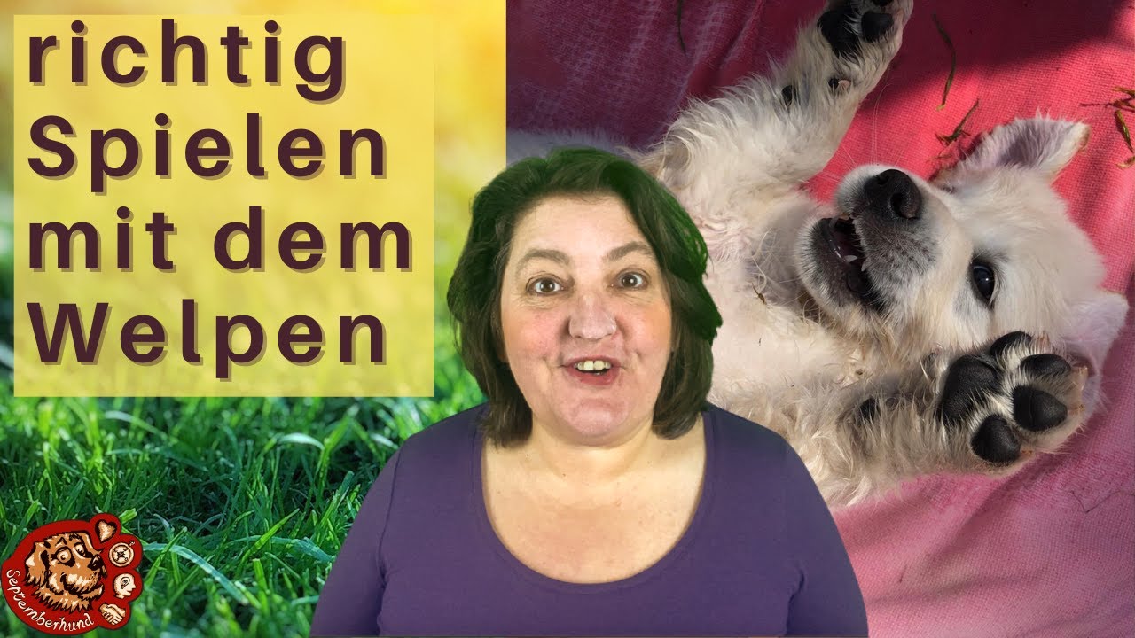 Spiel mit Welpen