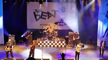 The Beat - Rock the casbah