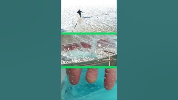 24h đầu tiên với kéo lưới bắt cá biển, lưới kéo cá biển Catfishing net fishing fishing net #shorts