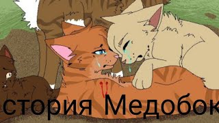 История Медобоки/Коты-воители