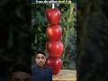 फल खुद बताते हैं कि वह किस चीज के लिए फायदेमंद है। 🤫🤫 #shorts #facts #fruits