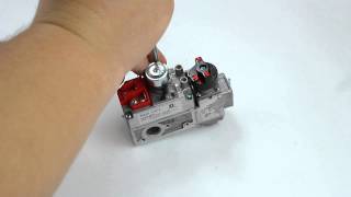 MVI 7519