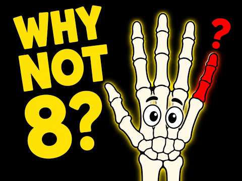Why Your Hands Have Exactly 5 Fingers (Not 8)