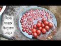 Milk Powder गुलाब जामुन | Milk Powder Gulab jamun | Gulab jamun | Gulab jamun Recipe