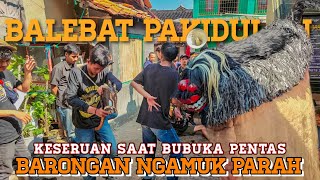 KESERUAN SAAT BUBUKA PENTAS❗❗❗ BARONGAN SAMPE NGAMUK PARAH | SENI REAK BALEBAT PAKIDULAN