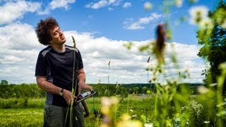 Bug Music: David Rothenberg's Insect Choir