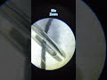 needle and thread under microscope #microscope #microscopevideo #education #science #shorts