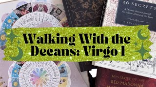 ✨Walking With the Decans: Virgo I ♍️ 8 of Pentacles 🌍✨