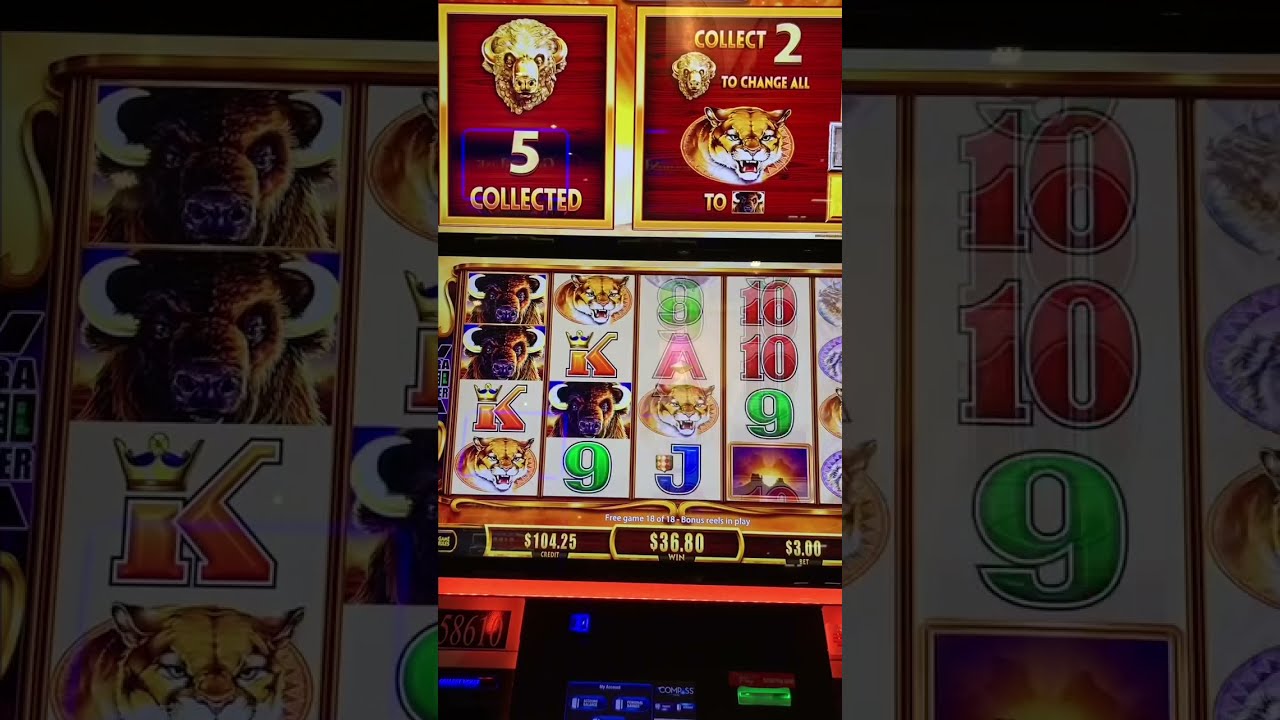 Soaring Eagle Casino Slots YouTube