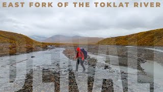 Backpacking OFF TRAIL | Denali National Park | ALASKA | Unit 7 East Fork of the Toklat River