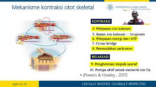 Mekanisme kontraksi otot skeletal