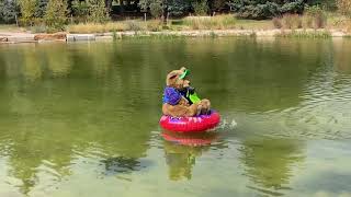 Bearington Across The Water