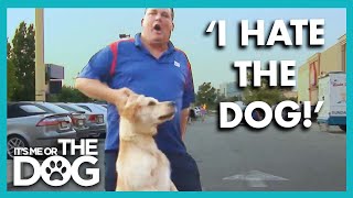 Owner Hates His Own Dog Its Me Or The Dog