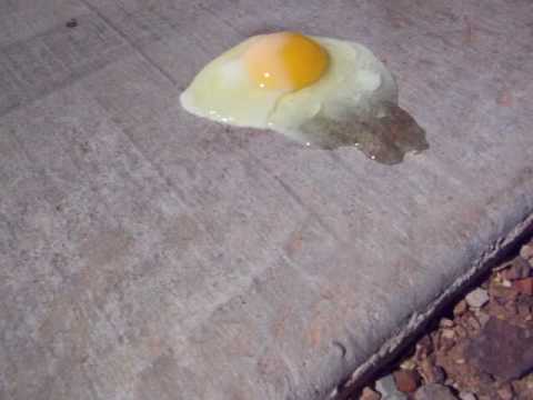 Image result for eggs cooking on sidewalk pics