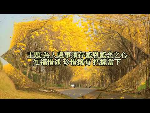 阿母的手 感恩惜福
