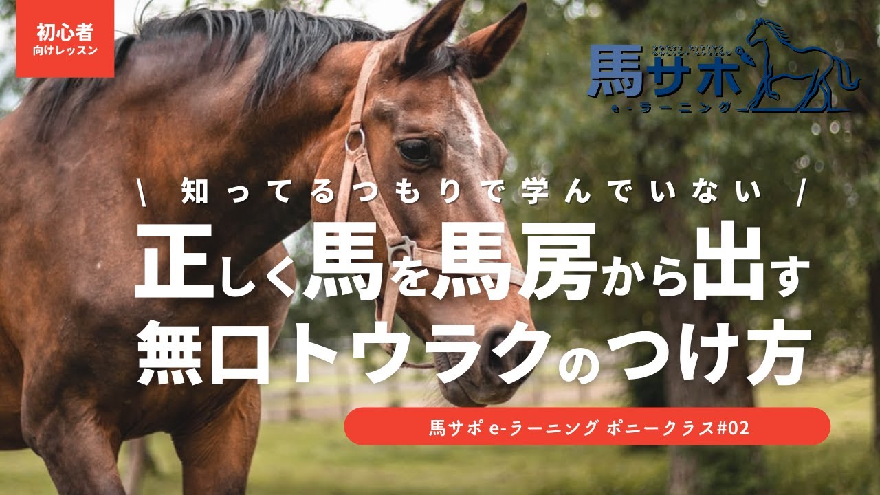 【知ってるつもり】正しく馬を馬房から出すときの無口トウラク付け方　  ポニークラス＃02