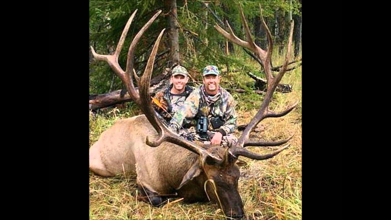 World Record Bull Elk.