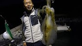 くーねるさんヒラマサありがとう ジギングいってきた Youtube