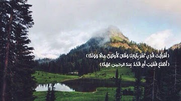 تلاوة هادئة  - ماجد العسيري