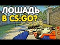 В CS:GO ДОБАВИЛИ ЖИВОТНЫХ? ДО ГЛОБАЛА В НАПАРНИКАХ С ЧЕЛЛЕНДЖАМИ. CS:GO