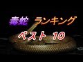 10 毒ヘビランキングＴＯＰ１０