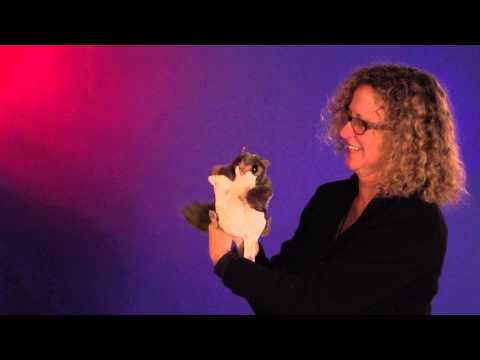 folkmanis squirrel puppet