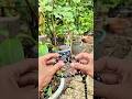 Knot rope tip diy at home