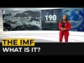 What is imf and why does it matter