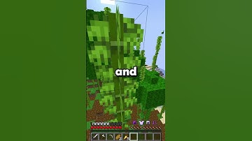 I spent 24 hours on this Minecraft server...