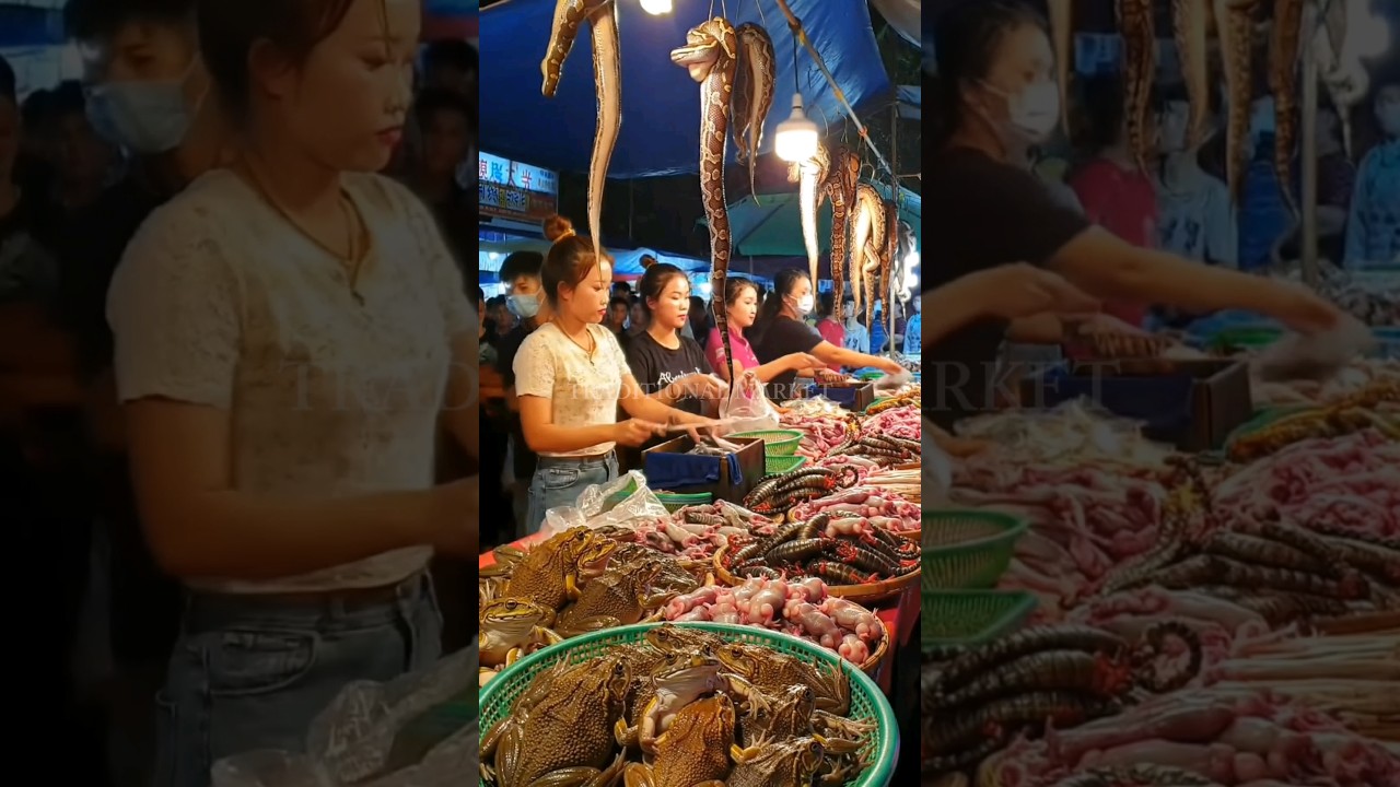 Inside Asia’s Traditional Markets: Unique Foods & Cultural Heritage