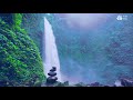 Powerful Waterfall in Jungle. Zen Nature Sounds. 10 hours White Noise for Sleeping.