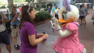 Stephanie Meeting Daisy Duck at Epcot
Stephanie Meeting Daisy Duck at Epcot Stephanie Meeting Daisy Duck at Epcot