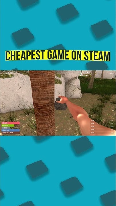 the-cheapest-game-on-steam-link-in-comments-youtube