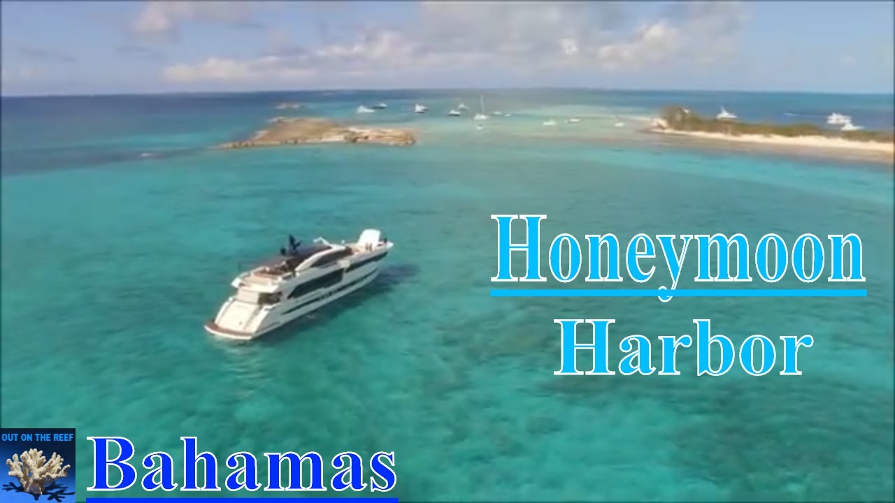 Honeymoon Harbor Bimini Bahamas Solo Trip from Miami to Bimini YouTube