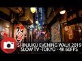 Evening Walk in Shinjuku, Tokyo - 2019 - 4K 60fps - Slow TV